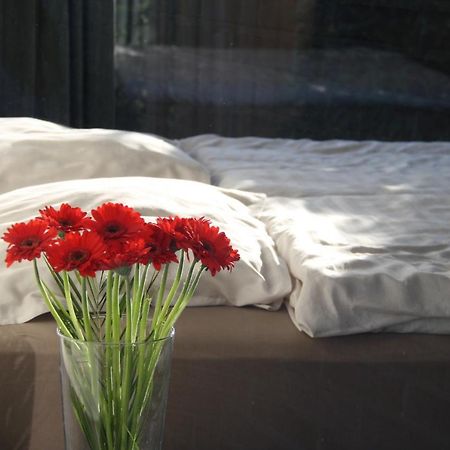 إبير La Chambre D'Amis المظهر الخارجي الصورة